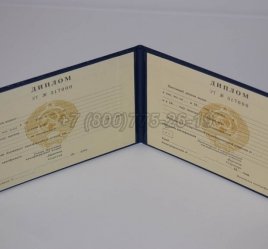 Диплом Техникума Украинской ССР в Волгограде