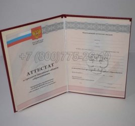 Аттестат За 11 Класс 2013г Серебро в Волгограде