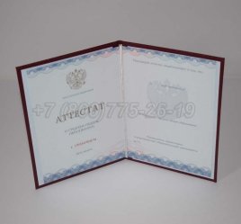 Аттестат За 11 Класс 2021г Золото ГОЗНАК в Волгограде