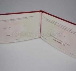 Диплом Кандидата Наук 2017г в Волгограде