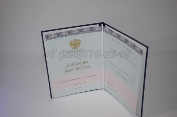 Диплом Магистра 2024г ООО "Знак" в Волгограде
