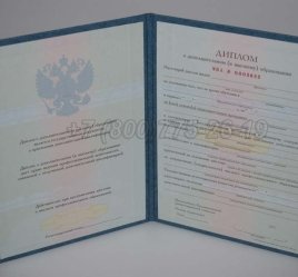 Диплом MBA 2023г в Волгограде
