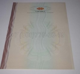 Академическая Справка ВУЗа 2019г в Волгограде