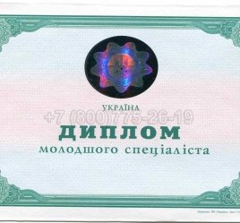 Диплом Техникума Украины 2009г в Волгограде