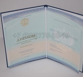 Диплом Техникума 2023г СпецБланк в Волгограде