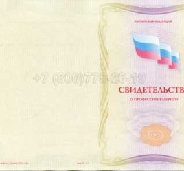 Свидетельство о Профессии Рабочего "Автоматчик игольно-платинных изделий" в Волгограде