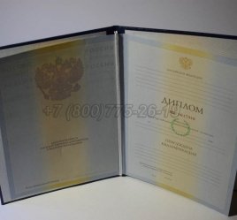 Диплом Института 2010г в Волгограде