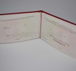 Диплом Кандидата Наук 2023г в Волгограде