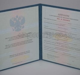 Диплом MBA 2022г в Волгограде