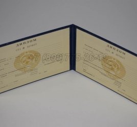 Диплом Техникума Киргизской ССР в Волгограде