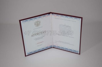 Аттестат За 11 Класс 2022г Золото ГОЗНАК в Волгограде