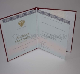 Красный Диплом Бакалавра 2024г ООО "Знак" в Волгограде