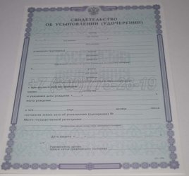 Свидетельство об Усыновлении 2023г в Волгограде