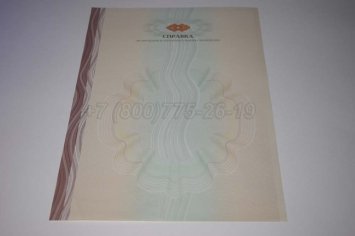 Академическая Справка ВУЗа 2023г в Волгограде