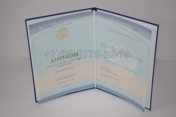 Диплом Колледжа 2023г СпецБланк в Волгограде