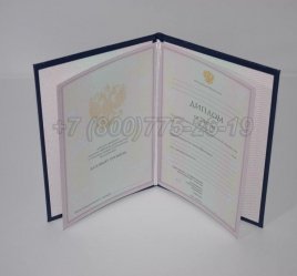 Диплом Колледжа 2007г в Волгограде